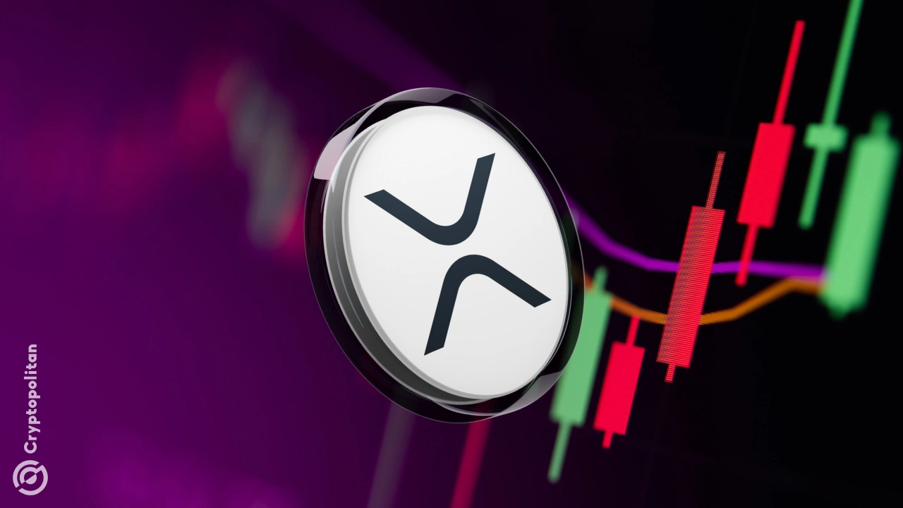 Wellgistics 申请采用 XRP 作为财务管理工具, 获得 5000 万美元信贷协议 - Cryptopolitan